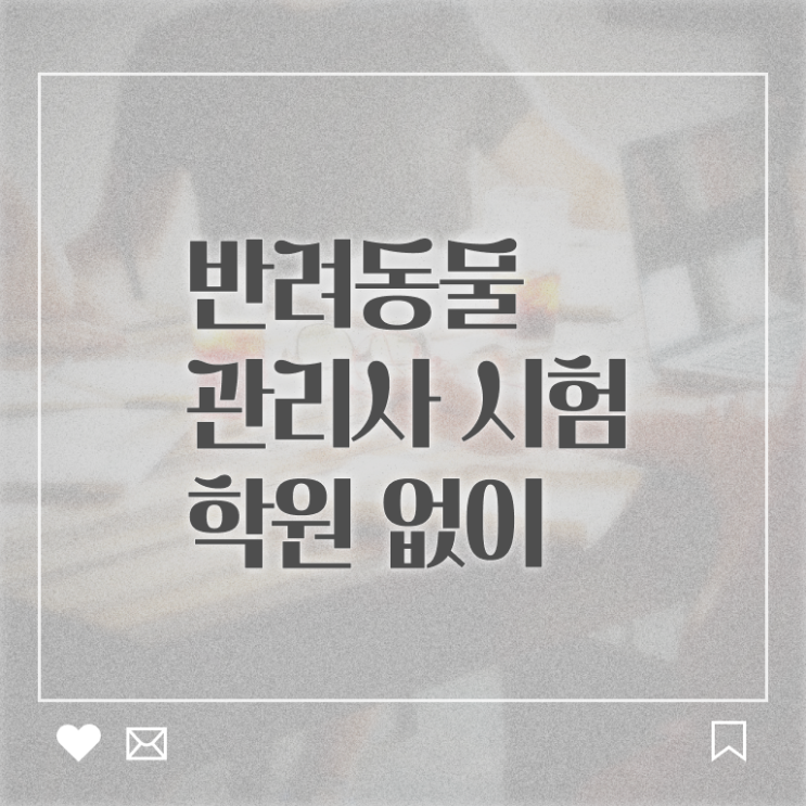  강아지 훈련사 비용 , 반려동물관리사 자격증 2주 만에 학습한 후기 및 이후 전망