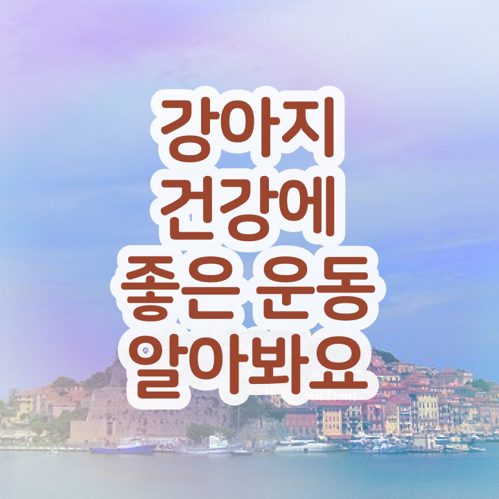  반려동물 인구 반려견운동지도사 간단하게 공부한 방법