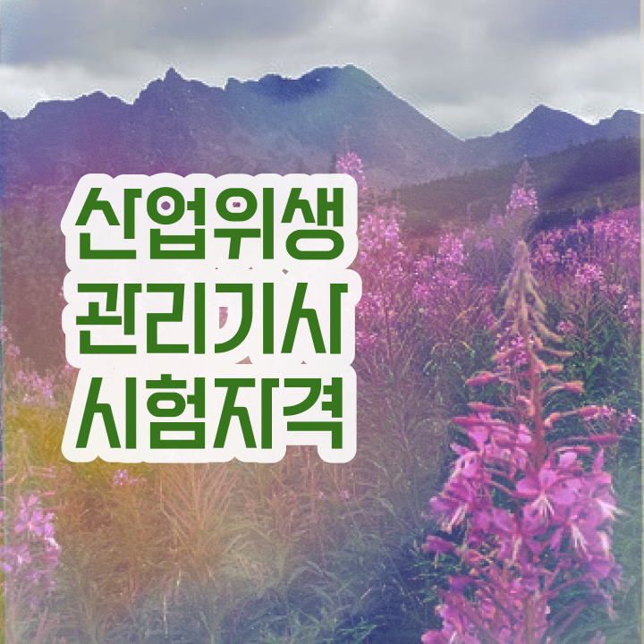  산업위생관리기사 과목 산업위생관리기사 자격요건 인강으로 4달 안에 끝낸 과정