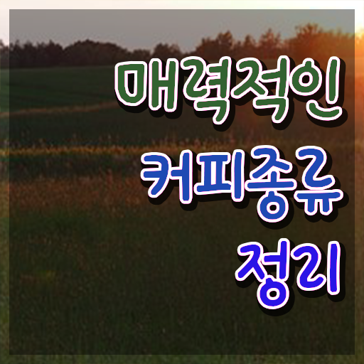  원주바리스타 , 바리스타 자격증 응시자격 없이 합격정보 정보를 알고싶다면