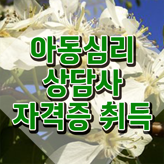  인천 아동심리상담 센터 , 아동심리상담사 자격증 2주 만에 합격정보 및 구직정보