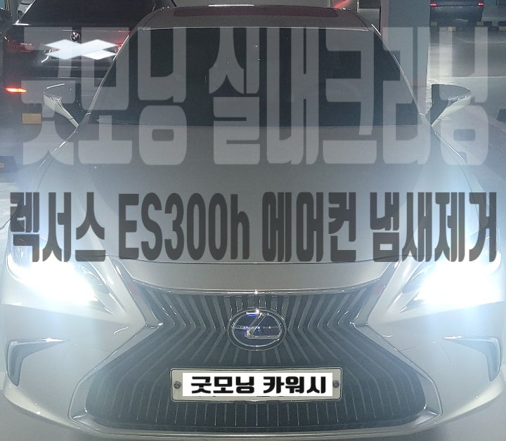  자동차 에어컨 냄새제거 렉서스 ES300h 에바크리닝
