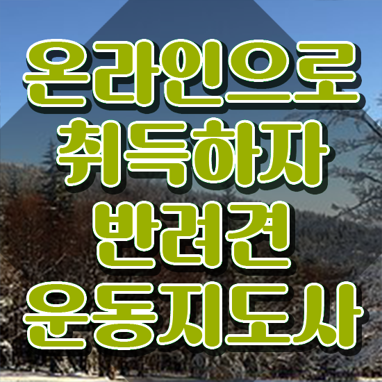  50대주부취업 , 반려견운동지도사자격증 2주 만에 합격한 팁