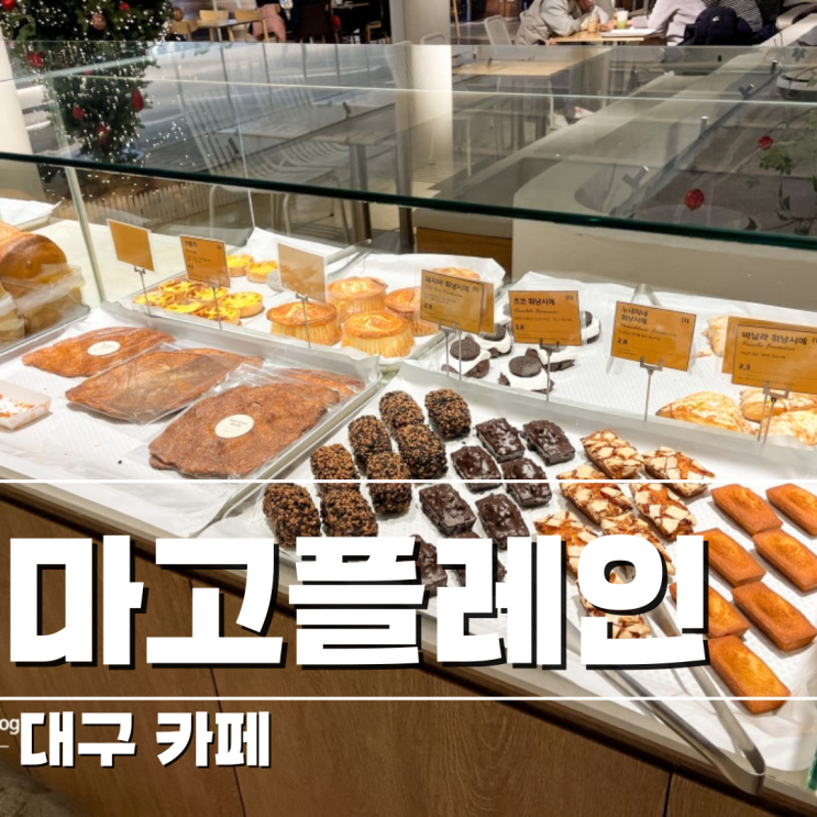  [대구/카페] 여럿이서 가기 좋은 마고플레인 강정보점 애견동반카페
