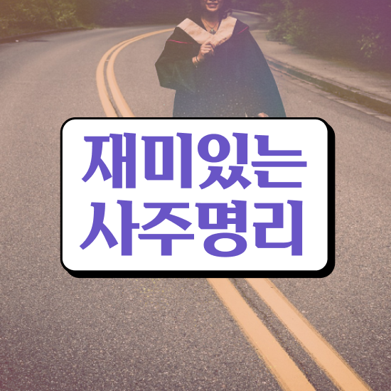  편관식신대운 , 심리상담사 자격증 직장인도 쉽게 학습한 후기 , 활용 방법