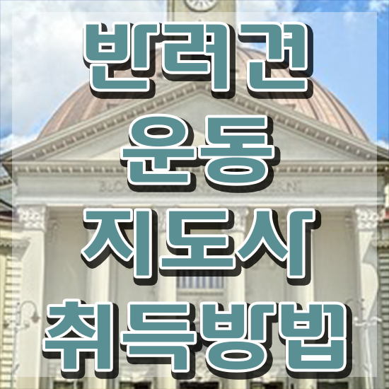  동물보건사 전망 , 반려견운동지도사 실무경력 없어도 간단하게 준비했던 팁