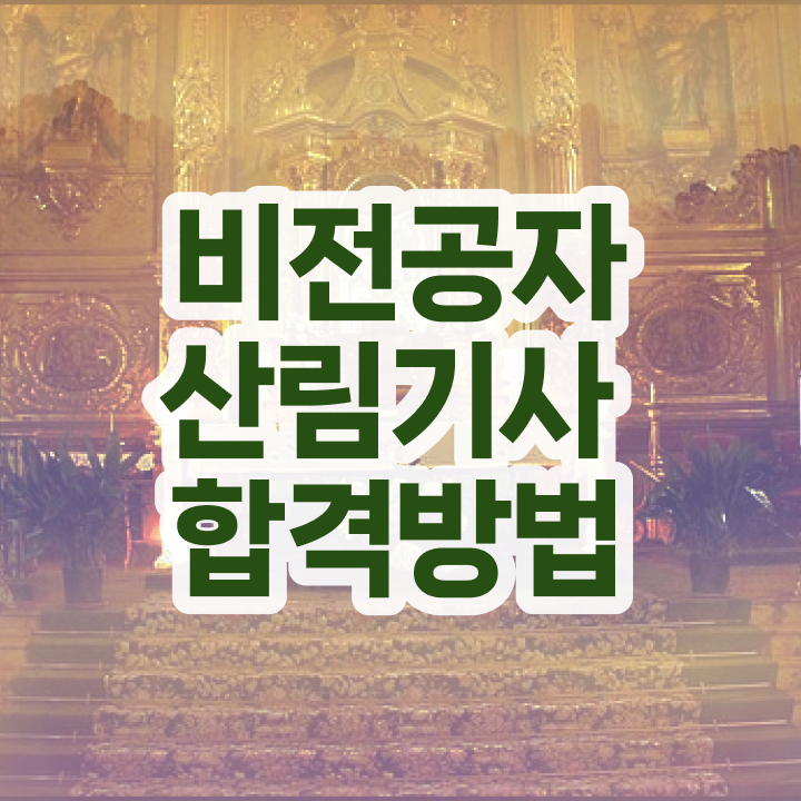  산림기사 공부기간 산림기사 응시조건 집에서 온라인으로 간편하게 성공한 과정
