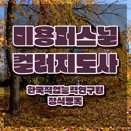  미용퍼스널컬러지도사자격증 , 미용퍼스널컬러지도사 자격증 비용없이 온라인으로 시험준비 , 활용 방법