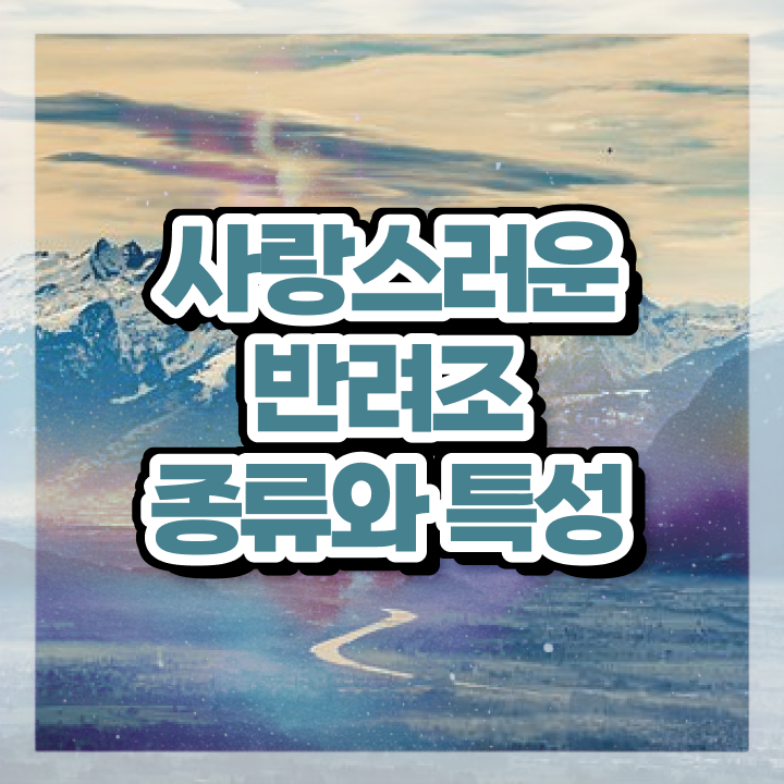  앵무새 키우기 , 반려조관리사 자격증 합격한 후기 핵심 정보 가득