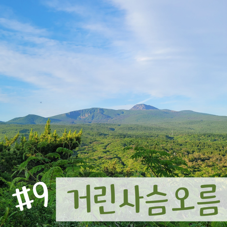  거린사슴전망대에서 거린사슴오름 정상까지