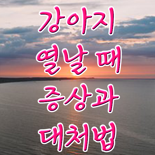  40대여자취업 , 반려동물관리사 자격증 합격한 후기 총 정리