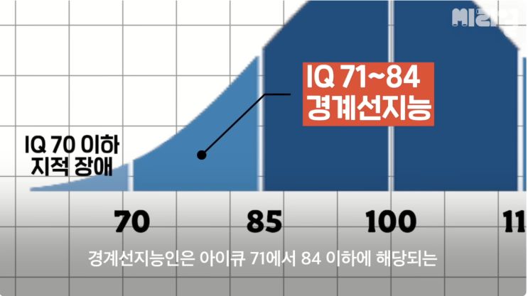  내 주위에도 있을지 모를 [경계성지능인]