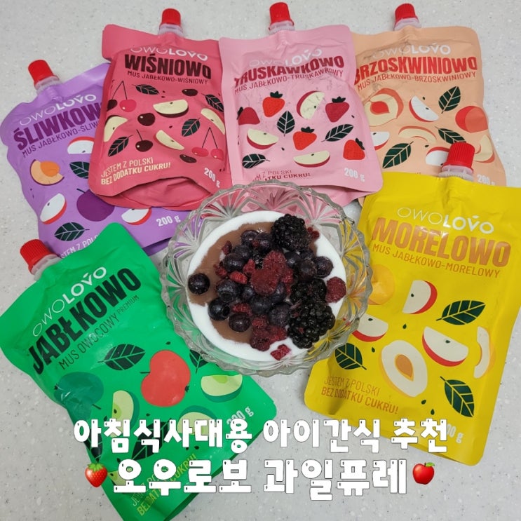  아침식사대용 오우로보 과일퓨레 아이 아침간편식 추천