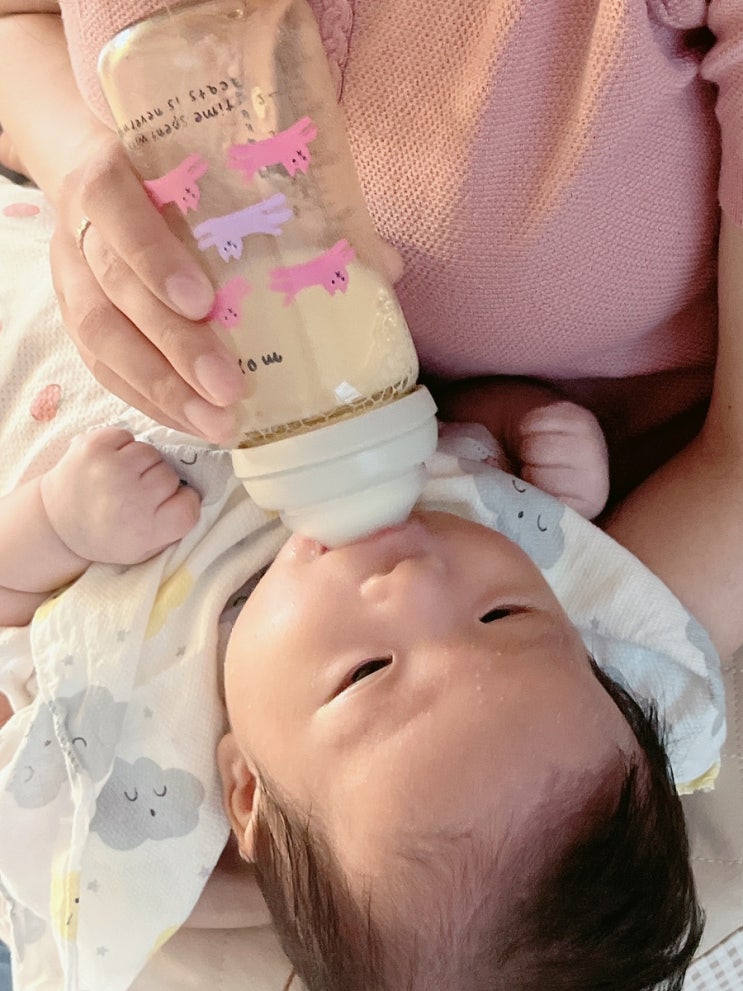  히수의 망고 육아일기 (아니, 사실은 망고가 이모 놀아주기)