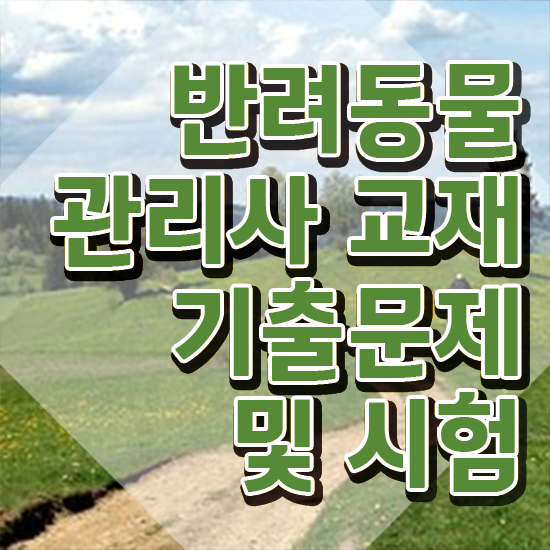  반려동물의료보험 , 반려동물관리사 자격증 응시자격 없이 취득한 방법 살펴보기