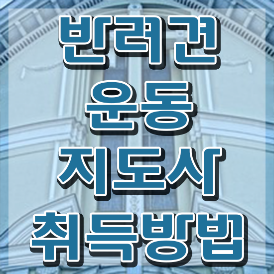  반려동물관리사 1급 비용없이 온라인으로 반려견운동지도사자격증 합격 전략 확인해봅시다