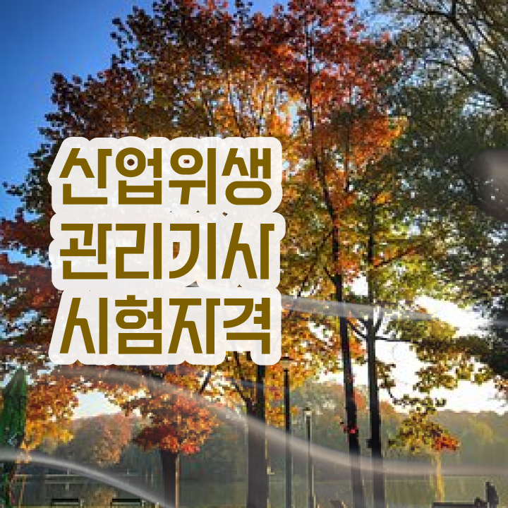  산업위생관리기사 관련학과 산업위생관리기사 자격요건 학점은행제로 4개월 만에 끝낸 후기