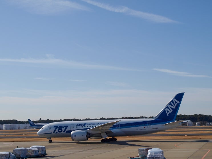  전일본공수 보잉 787-8 [JA813A]