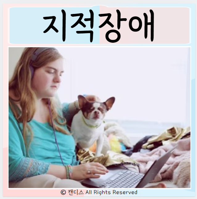  지적장애 등급 원인 1급2급3급 지능지수 교육