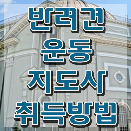  , 반려견운동지도사 동영상 과정으로 무자격 비전공자도 손쉽게 끝냈던 비법