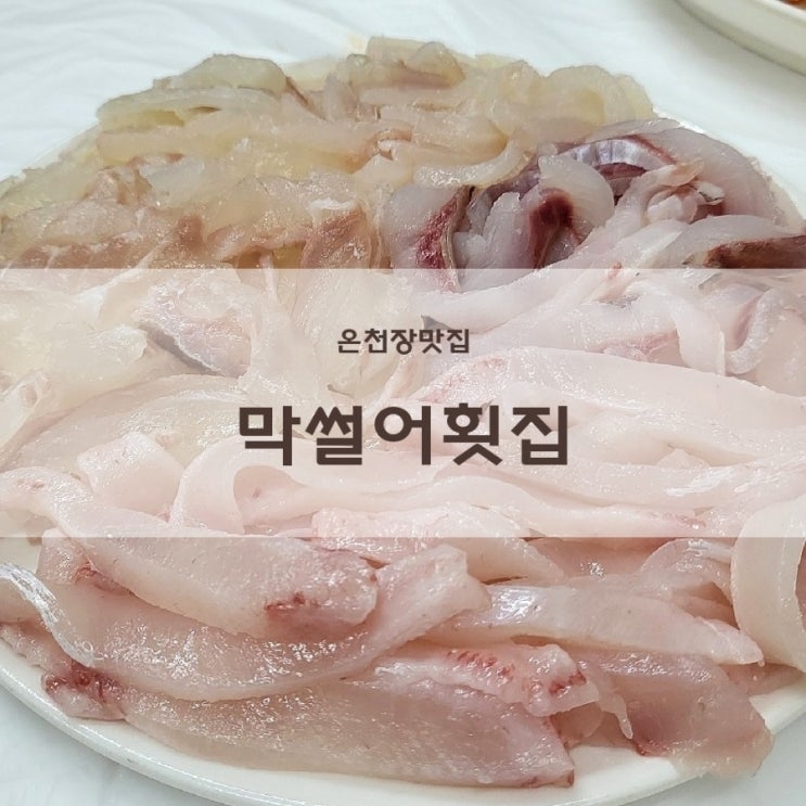  온천시장횟집 가성비좋은 부산온천장맛집 막썰어횟집