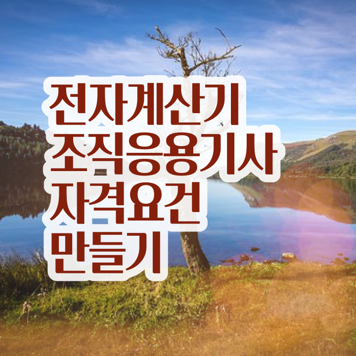  전자계산기조직응용기사 필기 접수 전자계산기조직응용기사 시험자격 인강만 듣고 1학기 만에 완료한 노하우
