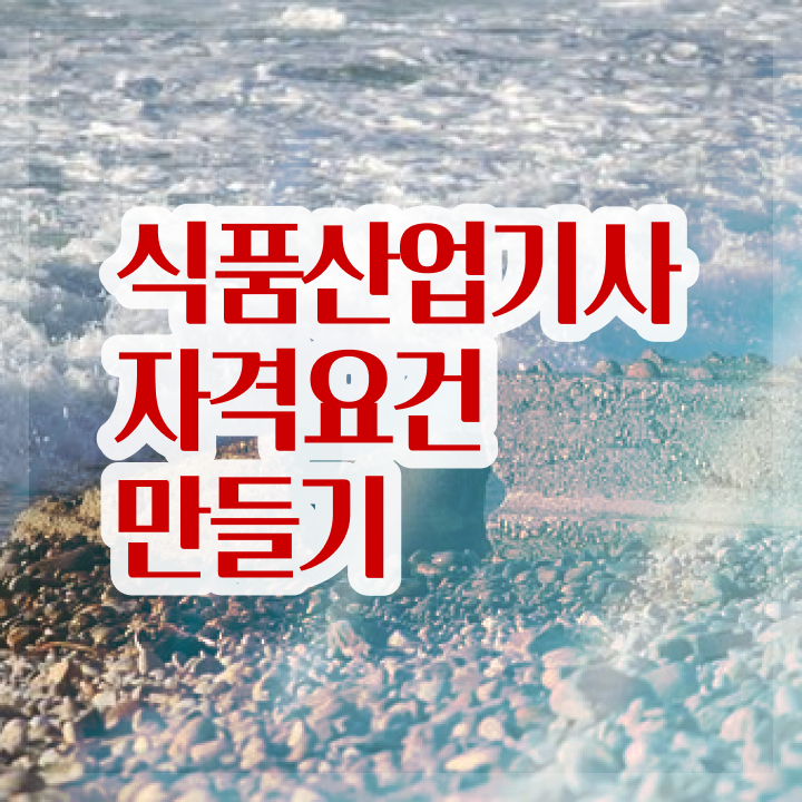  식품산업기사 필기 식품산업기사 응시자격 인강만 듣고 15주만에 성공한 비법