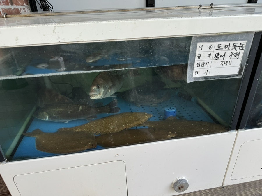 두우리회수산 사진 4
