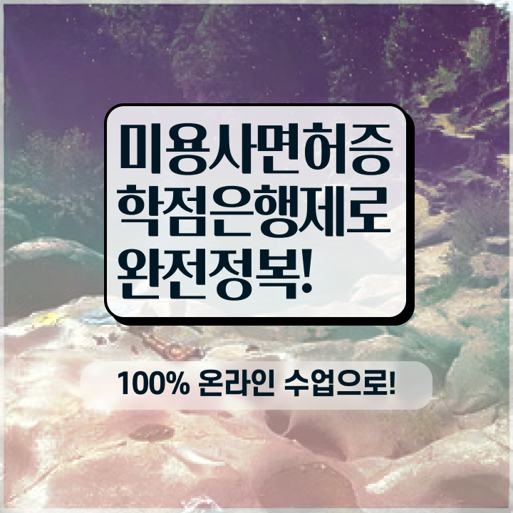  미용진로 , 16주 동안 미용사 종합자격증 따고 취직도 했어요