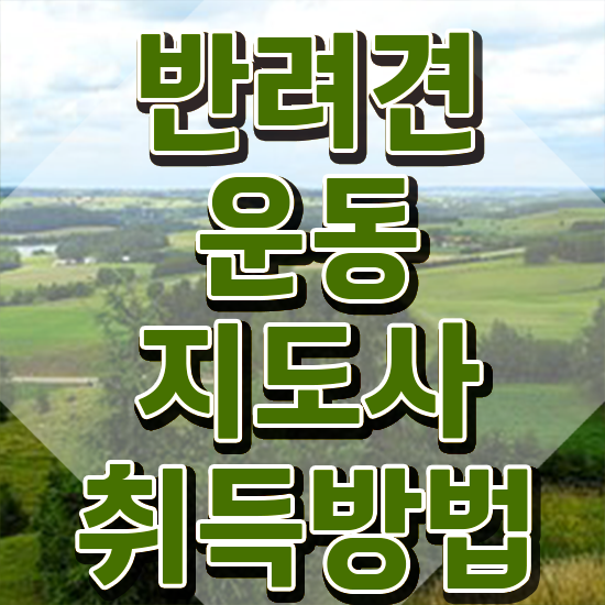  40대여성취업 , 반려견운동지도사 온라인 수업만으로 간단하게 끝냈던 전략