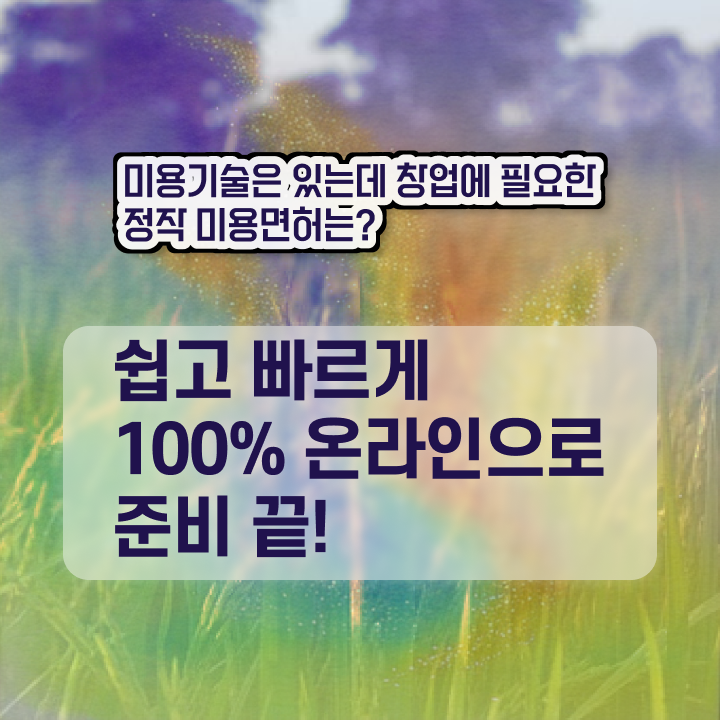  헤어디자이너 전망 , 미용사면허증 대학 진학, 경력없이 딴방법
