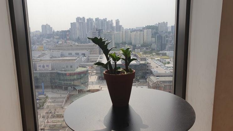 지금 당신에게 필요한 것은 무엇인가요?