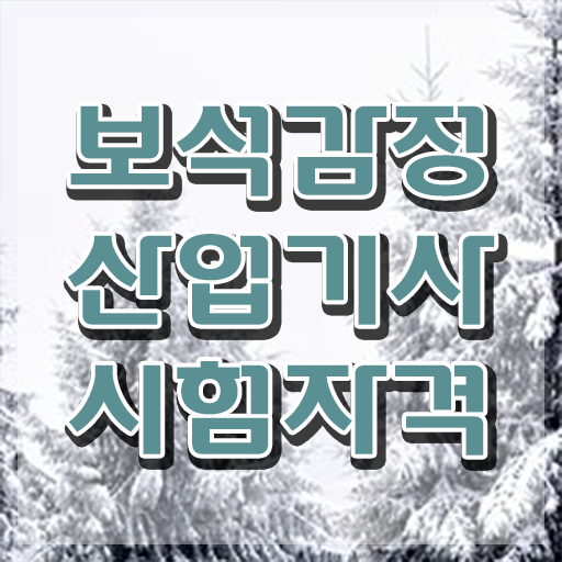  보석감정산업기사 취득자격 학점은행제로 쉽고 빠르게 성공한 과정
