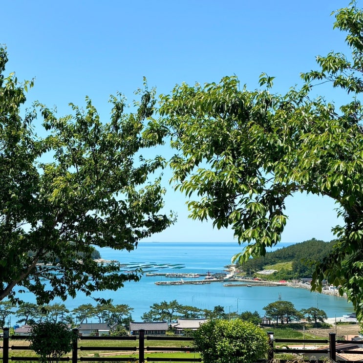  완도 청산도 배편 | 차량 선적 후기, 시간, 요금, 신분증