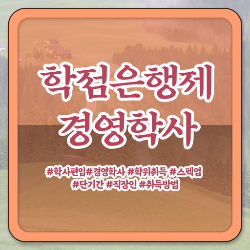  , 대학진학, 경력없이 경영학 전공 걱정하지 말아요