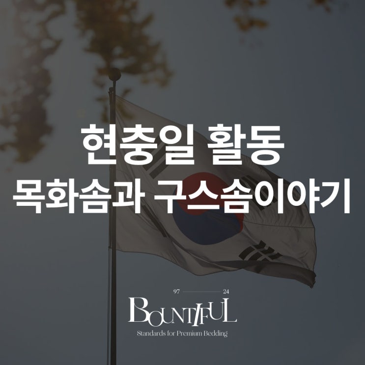  현충일 활동, 목화솜과 구스솜이야기