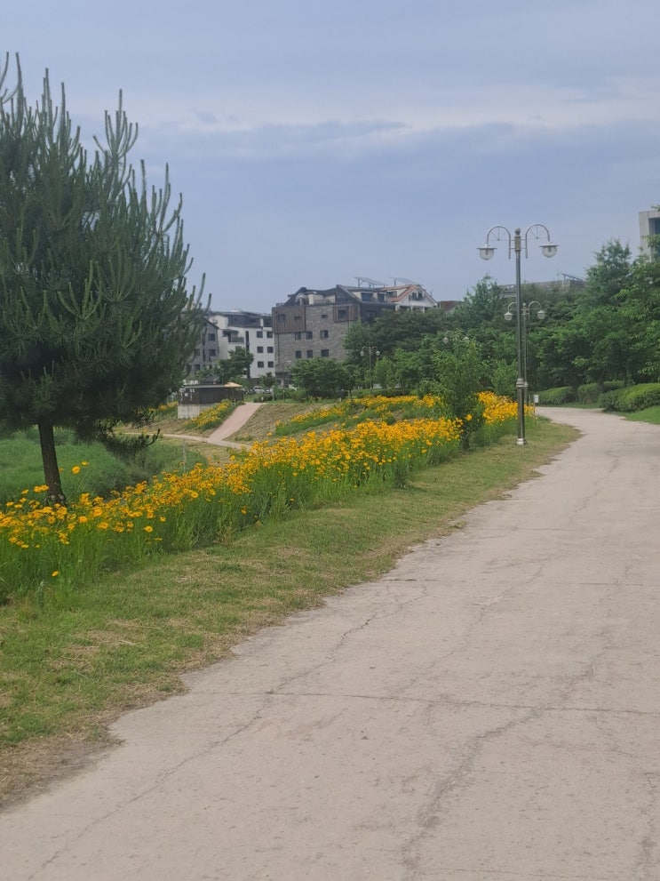  금연일기(금연45일차, 금주 금커피18일차)-손익계산서