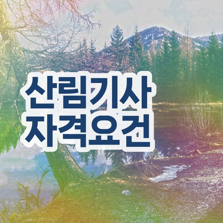  산림기사 책 이미지 산림기사 자격요건 온라인 수업으로 반 년만에 성공한 비법