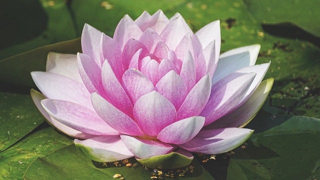 어답산가든 사진 4