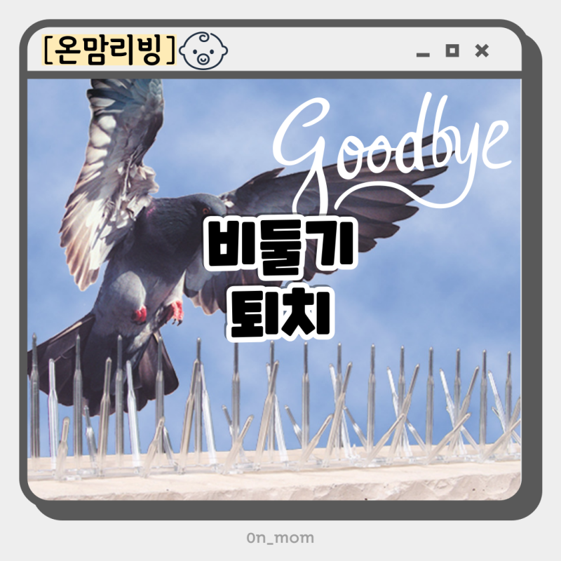 아파트 베란다 실외기 비둘기 퇴치 스프레이 퇴치약 다이소 네트망