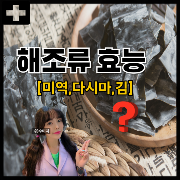  해조류 종류 다시마 미역 김 효능