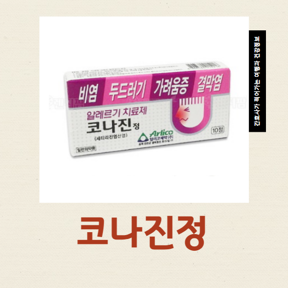  코나진정 알레르기약 항히스타민제 효과와 부작용 금기