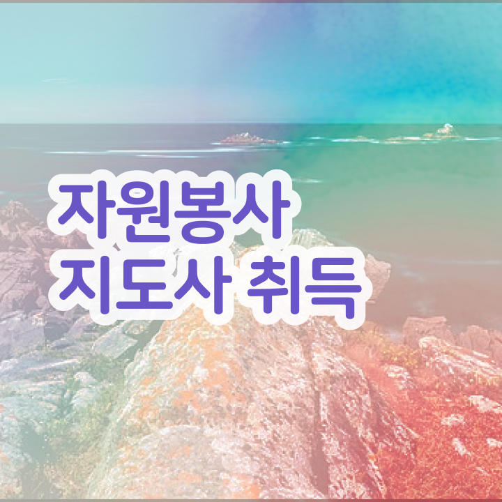  올림픽 자원봉사 , 자원봉사지도사 자격증 한달 만에 취득한 정보 최신정보 공유