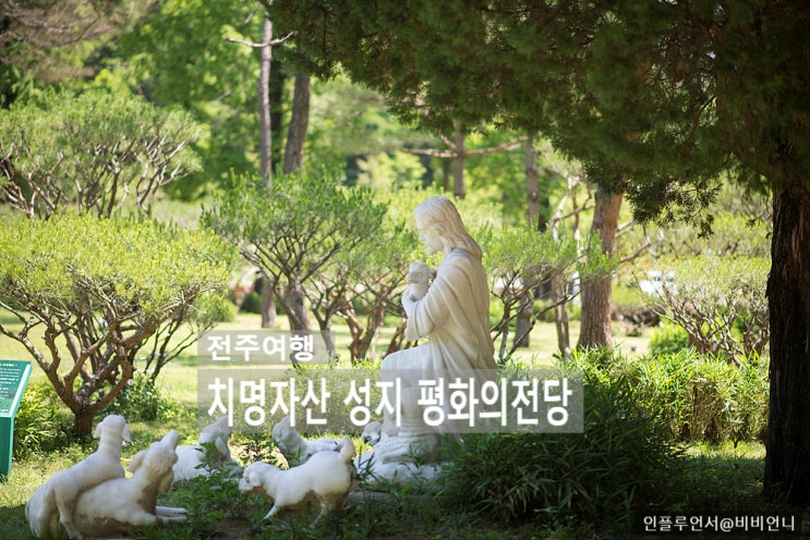 전주산책 나들이 명소 치명자산 성지 평화의전당 애견 동반