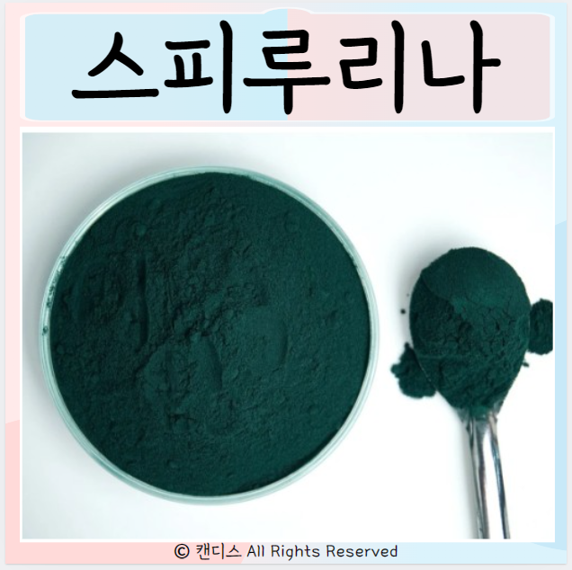  스피루리나 효능 좋은점 부작용