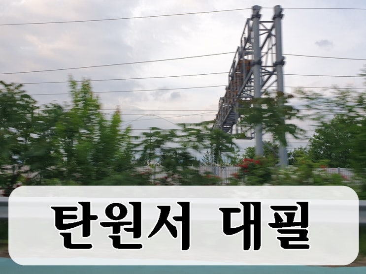  가족 탄원서 대필 선처를 바라는 마음으로