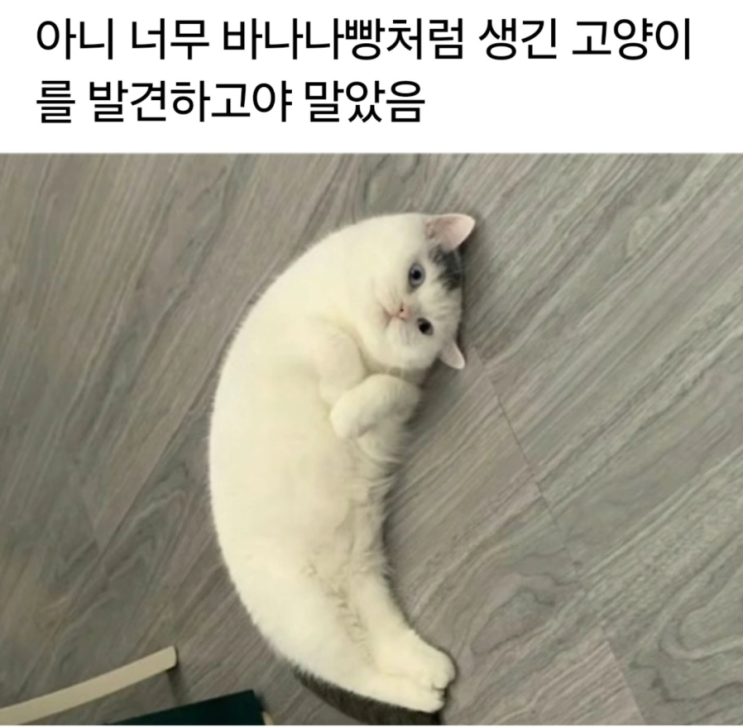  바나냥