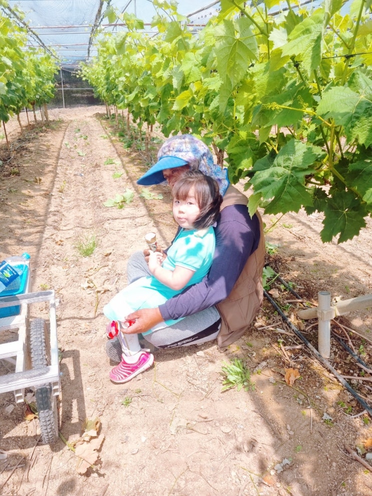  스톱 모션 애니메이션