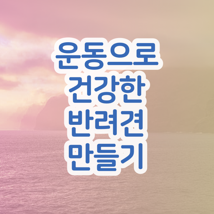  반려동물학과 전망 , 실무경력 없어도 반려견운동지도사 발급받아 보세요