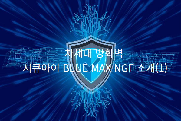  차세대 방화벽 시큐아이 BLUE MAX NGF 소개(1)